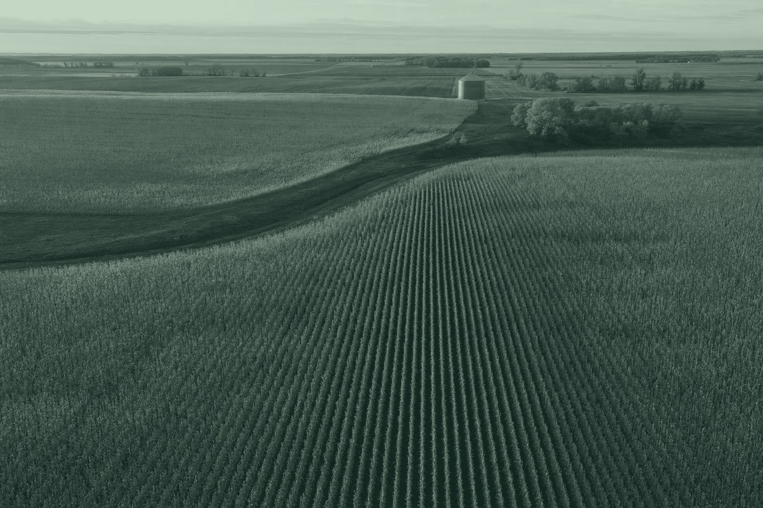 Aerial view of rows of crops at golden hour with a grain silo in the distance