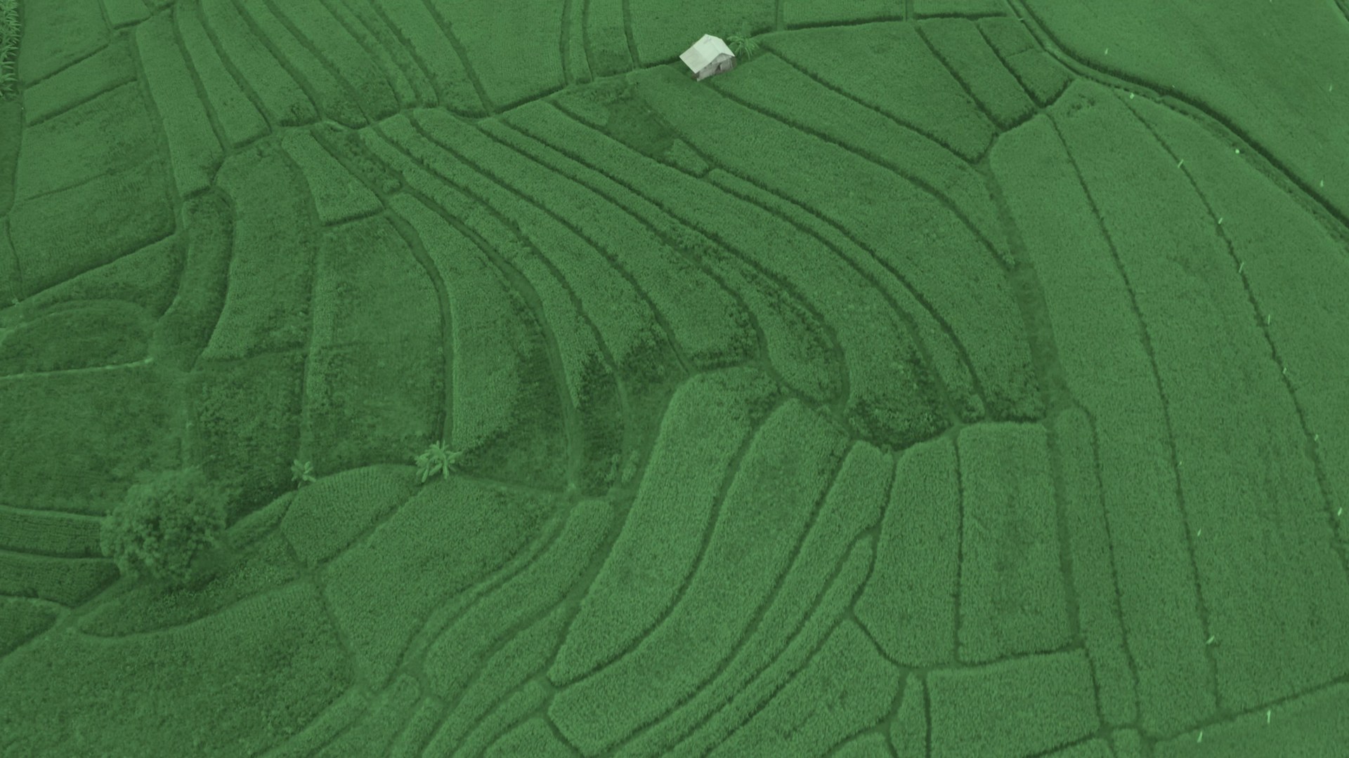 Aerial view of American farmland with a small farmhouse