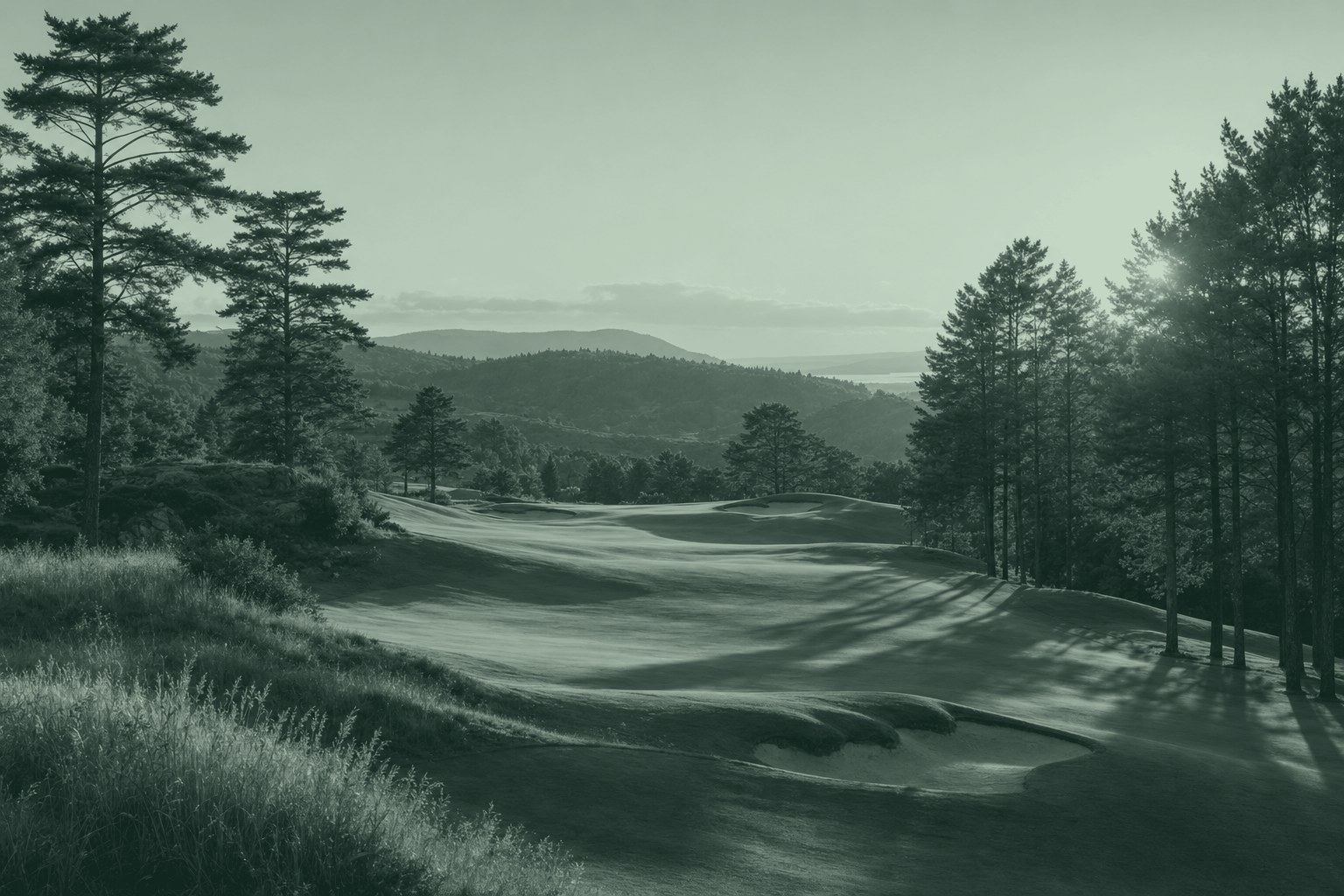A golf course fairway at golden hour